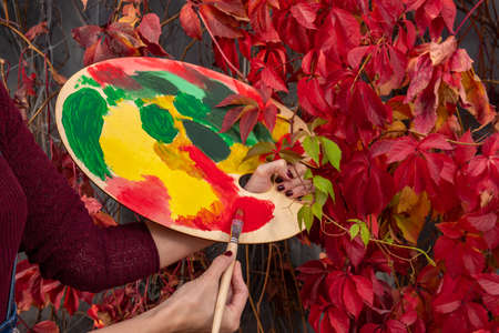 The palette is wooden for paints, round against the background of autumn red maple, will paint the leaves with a brushの写真素材