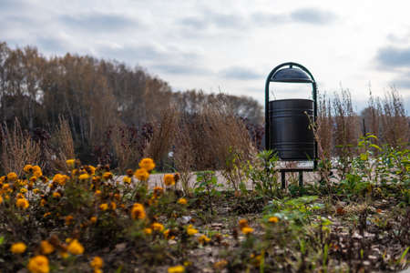 Trash bin in a nature park, a trash can made of metal in green grass in an open nature near a road of stones, in the afternoon in sunny weather the concept of urban lifeの写真素材