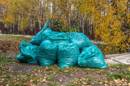 Bags of leaves and debris in nature in an outdoor blue park in the autumn forestの写真素材