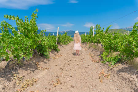 Girl in vineyard and mountains sky earth wine winery green, grape country france harvest autumn scenic. Summer plant ripe, farmerの写真素材