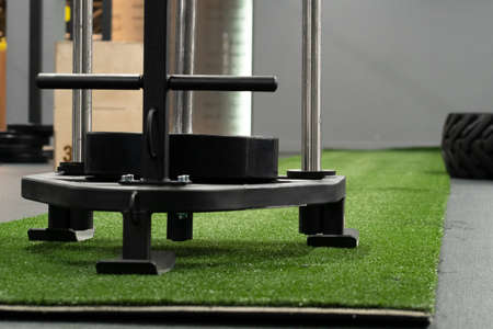 Sled fit young cross training, in the afternoon push muscular from adult and fitness drag, motion...