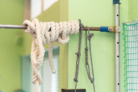 gymnastics performance horizontal flexibility sport artistic competition athlete strength gymnast body exerciseの写真素材