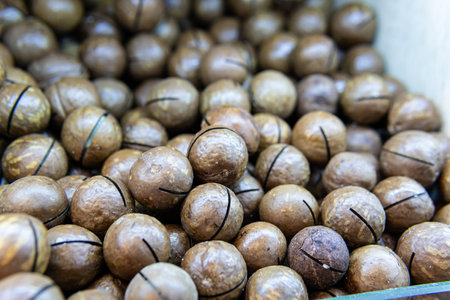freshness - ingredient nut snack no cooking macadamia nutshell food people seed organicの写真素材