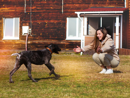 A bright sunny photo of a joyful dog running into the arms of its ownerの写真素材