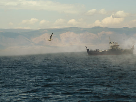 photo of a ship on Lake Baikal sailing in fog in bad weather, accompanied by a seagullの写真素材