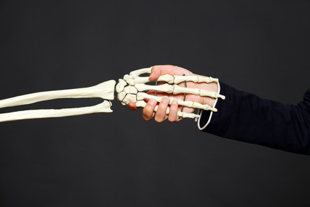 Skeleton handshakeの写真素材
