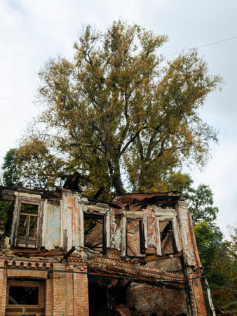 Downtown of Kyiv, Ukraine in autumn. Views of historic architecture and landscape, nature of Kyiv. Old streets and buildings of the city center.の写真素材