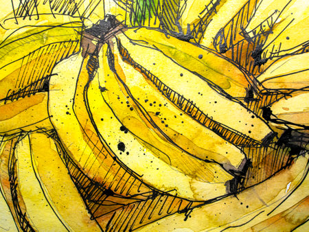 Watercolor banana background. Hand drawn watercolor illustration with bananas.の写真素材