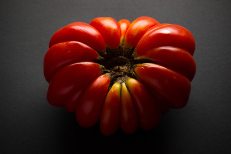 Tomatoの写真素材