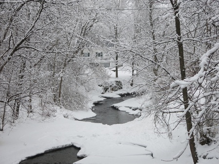 Chilled Creekの写真素材