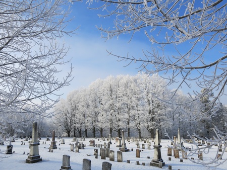 CV Winterの写真素材