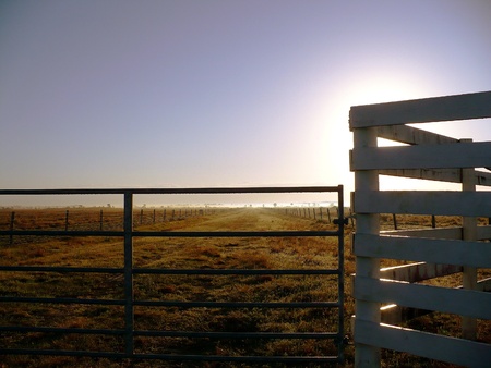 Flat farm land morning fog with steel and wooden cattle fences