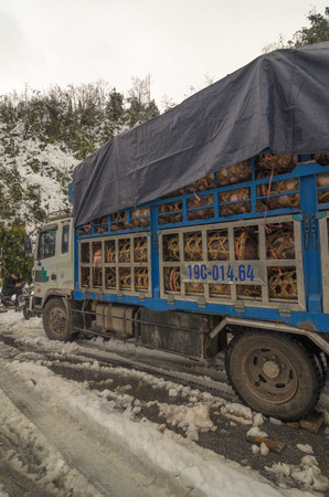 SA PA, VIETNAM at DECEMBER 2013: First snow in Sapa - a famous place in Vietnam travel.のeditorial素材