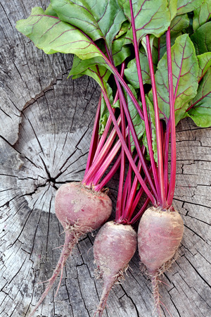 Beetroot  Fresh Organic Beets From Garden の写真素材