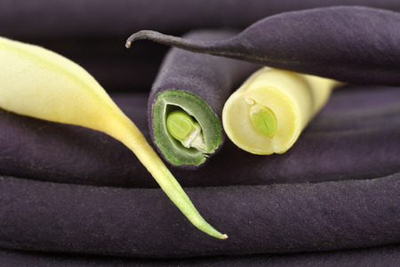 Purple and Yellow Beans closeup 