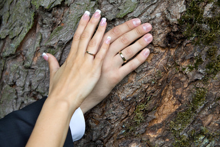 Wedding. Just married coupleの写真素材