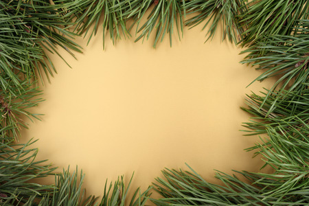 Gold Christmas background. Christmas fir tree on a gold background. Frame made with twigs and copyspacedの写真素材