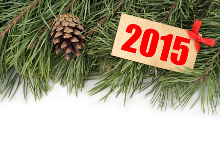 Christmas tree branch, bumps and plate with text \\\"2015\\\"の写真素材