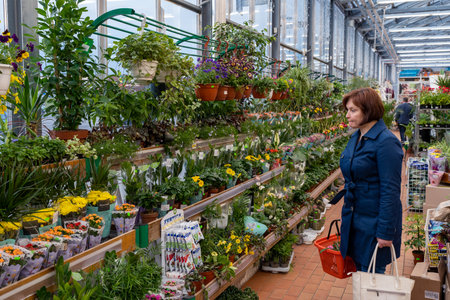 Woman choosing plants for her home in flower shop. Minsk, Belarus - may 2022のeditorial素材
