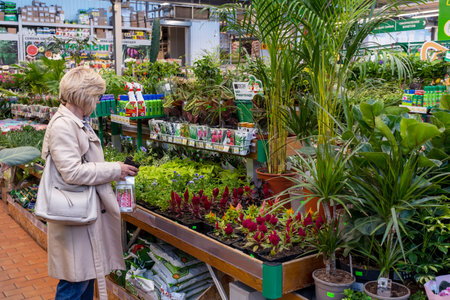 Woman choosing plants for her home in flower shop. Minsk, Belarus - may 2022のeditorial素材