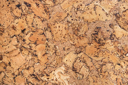 Cork wood texture background. Top view.の写真素材
