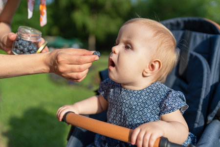 Baby eats blueberries. Mom feeds child with fresh healthy berries in stroller in park outdoors