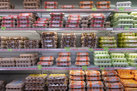 Chicken eggs on the store shelf. Containers of chicken eggs in a refrigerator store. Minsk, Belarus, 2022のeditorial素材