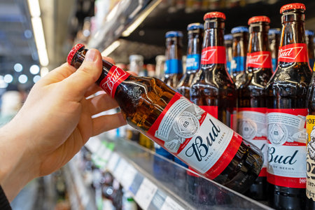 Budweiser Beer Bud bottles on shelves in a supermarket. Buyer takes Bud beer. Minsk, Belarus, 2022