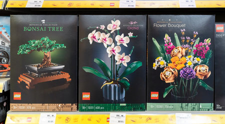 The LEGO Botanical Collection for sale at Lego Store. Lego constructors for adults 18+. Minsk,...
