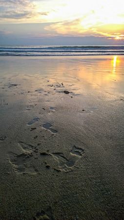 sunset at the Surin beach, Phuket, Thailandの写真素材