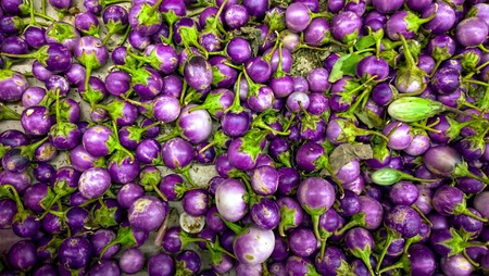 Eggplant Vegetable Closeup Backgroundの写真素材