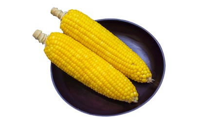 Isolated image of pearl corn against a completely white background.