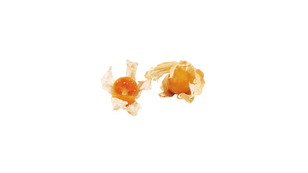 Ground Cherry on white backgroundの写真素材
