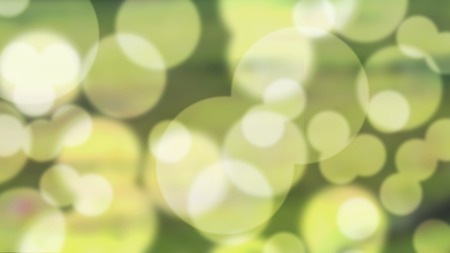 Beautiful nature bokeh  background.の写真素材