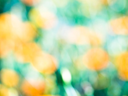 Bright and abstract blurred green and yallow backgroundの写真素材