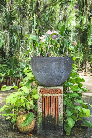 A closeup of a vase sculpture garden decorの写真素材