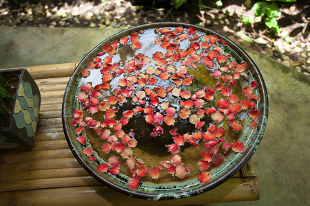 A bowl of tropical flowers, meditation spa areaの写真素材