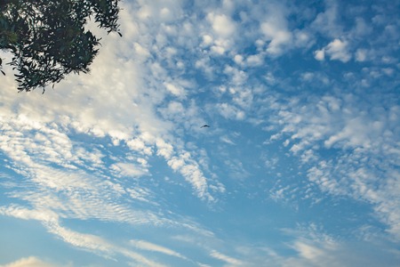 Clouds with blue skyの写真素材