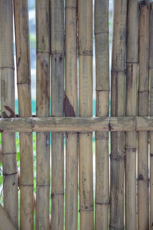 Closeup detail of big bamboo wall  backgroundの写真素材