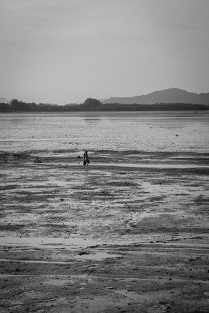 Sea Laem Hin on low tide black and white. Phuket, Thailand.の写真素材