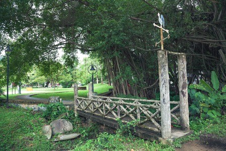 Stone bridge in the park of Phuketの写真素材
