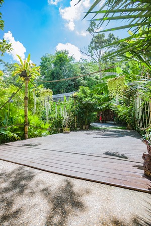 Garden Walkway birdwatching Phuket.Thailandの写真素材
