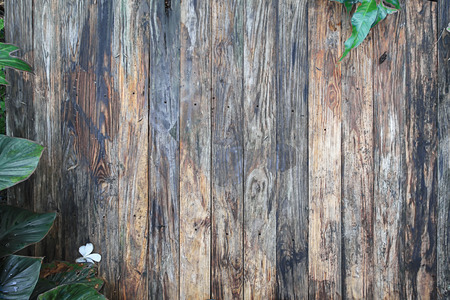 Close up brown wood texture in garden backgroundの写真素材