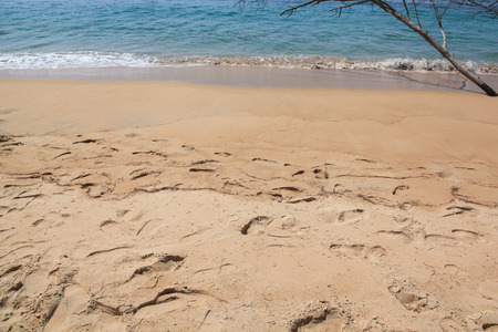 Sai Kaew Beach,North of Phuket ,Thailandの写真素材