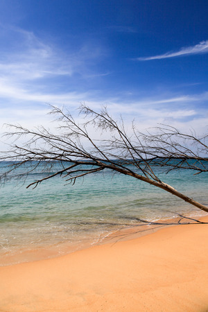 Sai Kaew Beach,North of Phuket ,Thailandの写真素材