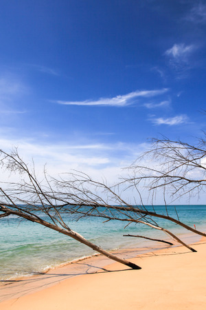 Sai Kaew Beach,North of Phuket ,Thailandの写真素材