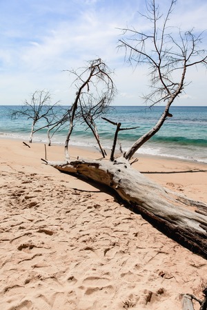 Sai Kaew Beach,North of Phuket ,Thailandの写真素材