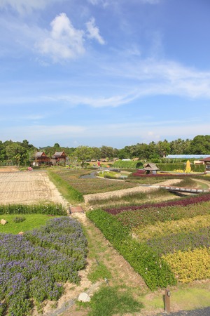 Beautiful tropical gardens with path and flowersの写真素材
