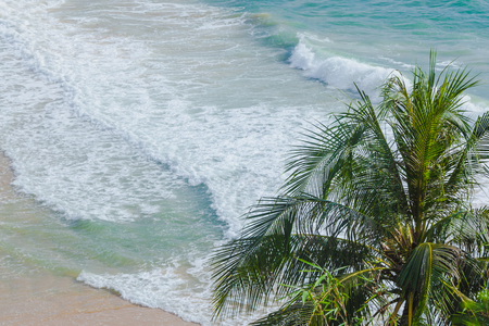 Palm trees along the Andaman Oceanの写真素材