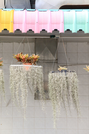 Detail of coloful Rainproof awning and treeの写真素材